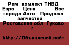 Рем. комлект ТНВД Евро 2 › Цена ­ 1 500 - Все города Авто » Продажа запчастей   . Ростовская обл.,Гуково г.